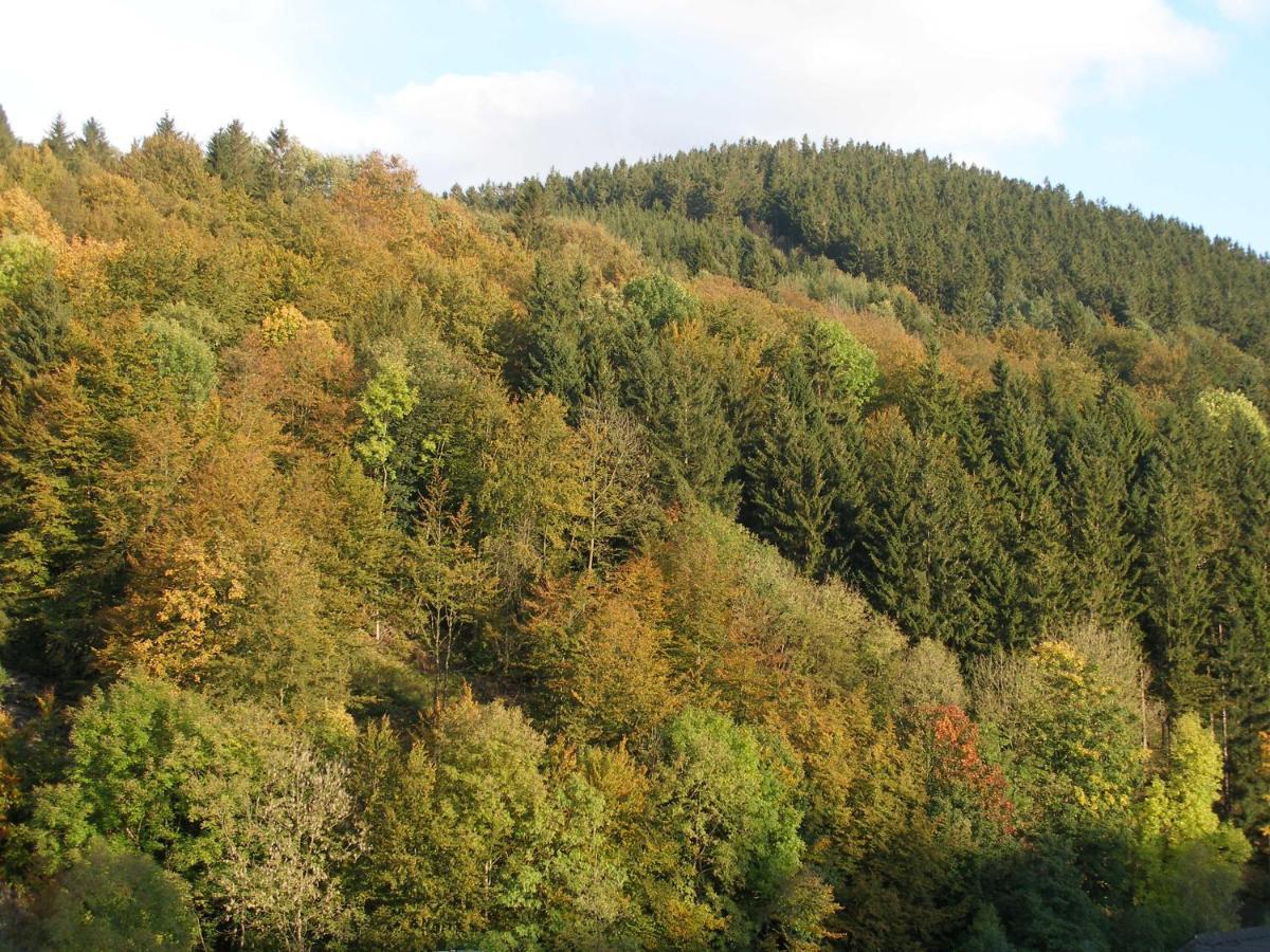 Pension Haus Waldfrieden Willingen  Zimmer foto