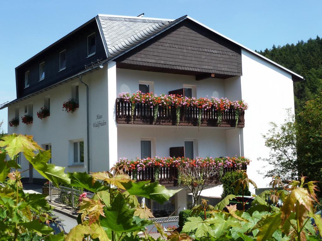 Pension Haus Waldfrieden Willingen  Exterior foto