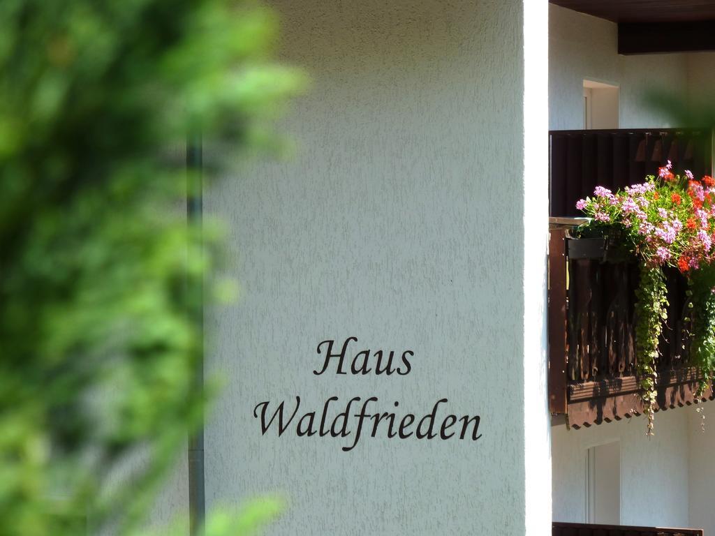 Pension Haus Waldfrieden Willingen  Exterior foto
