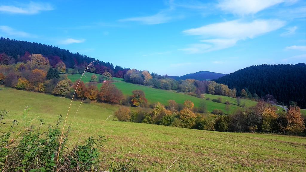 Pension Haus Waldfrieden Willingen  Exterior foto
