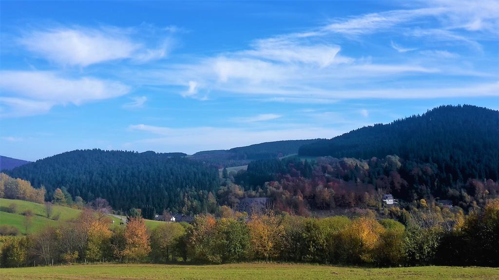 Pension Haus Waldfrieden Willingen  Exterior foto