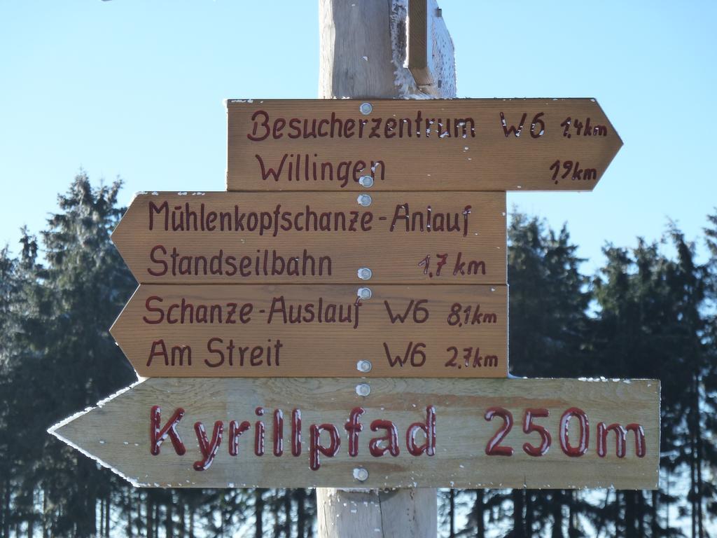 Pension Haus Waldfrieden Willingen  Exterior foto