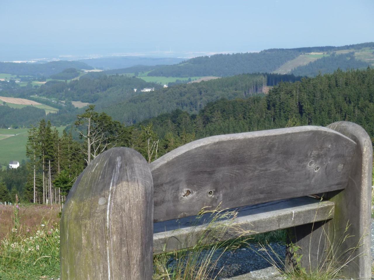 Pension Haus Waldfrieden Willingen  Exterior foto