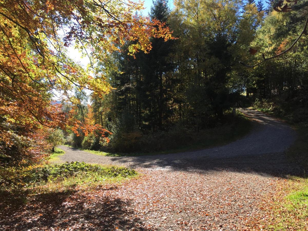 Pension Haus Waldfrieden Willingen  Exterior foto